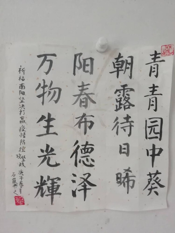 5ed0c59d4a303.jpg