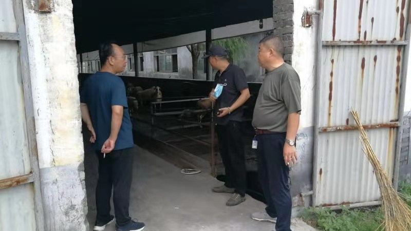 60ff5ad688a3d.jpg