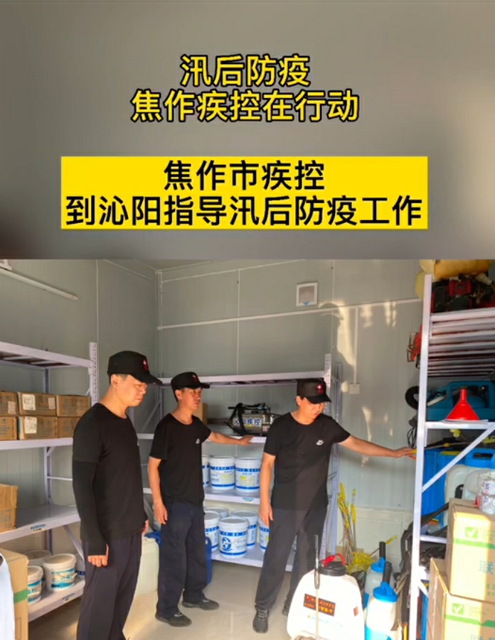 6145ab80ab963.jpg